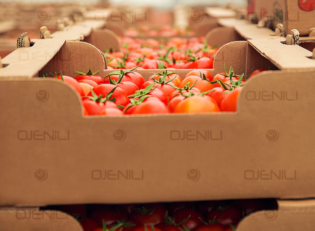 Laminated Box and Carton Production Laminated Box and Carton Production