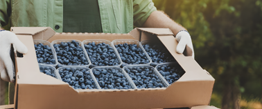 Food Box Printing, Food and Agricultural Packaging Printing Food Box Printing, Food and Agricultural Packaging Printing