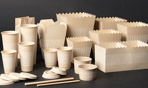 بسته بندی تجزیه پذیر بامبو بسته بندی تجزیه پذیر بامبو