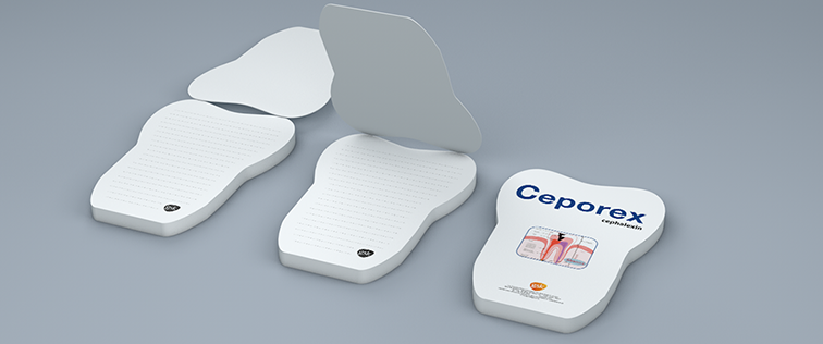 چاپ کاتالوگ برند ریمایندر