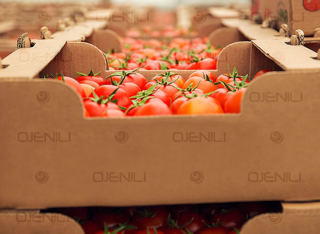 تولید جعبه و کارتن لمینتی تولید جعبه و کارتن لمینتی