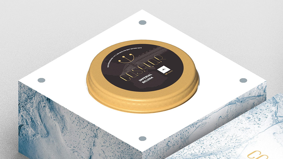 ویژگی های فنی و هنری بسته بندی