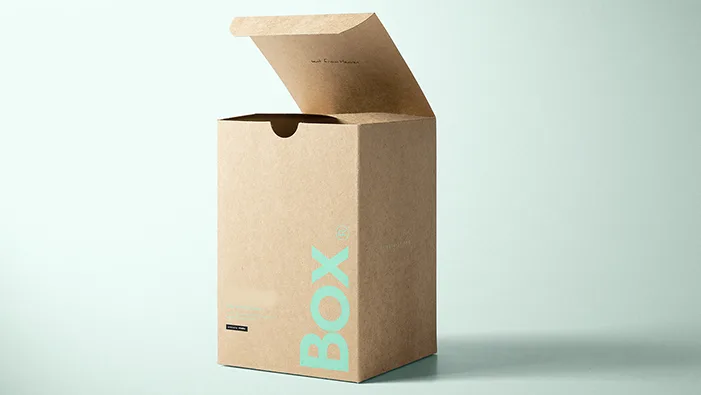 Kraft Box