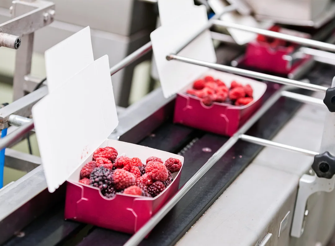 بازاریابی، برندینگ و رفتار مصرف کننده در بسته بندی