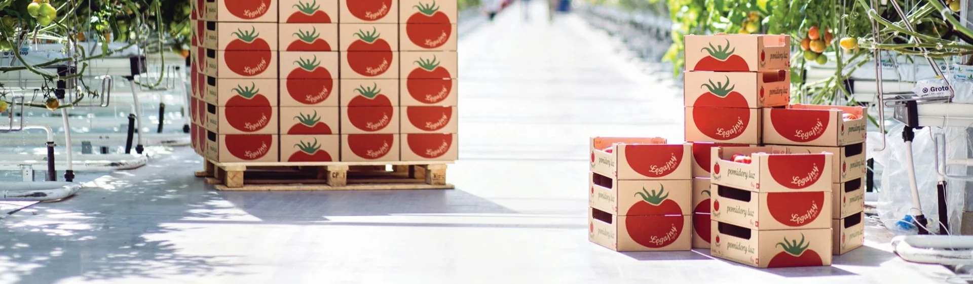 بازاریابی، برندینگ و رفتار مصرف کننده در بسته بندی